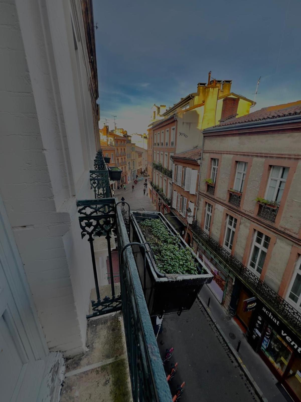 Capitole - Appartement T2 Au Coeur De La Ville Rose تولوز المظهر الخارجي الصورة